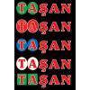 taşan demir doğrama